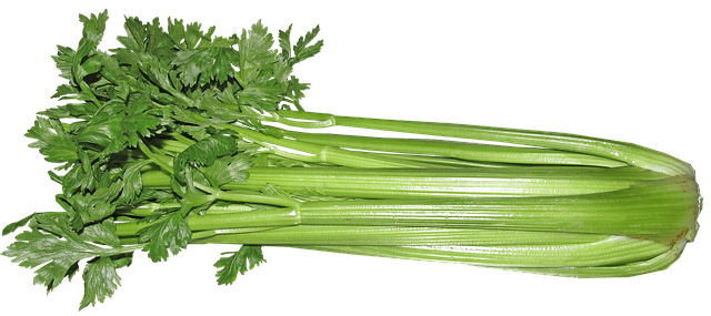 celery leaves and stalk