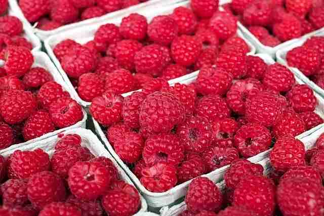 raspberries in cotainers