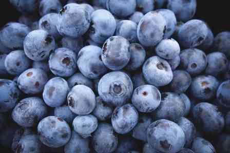 Blaubeeren