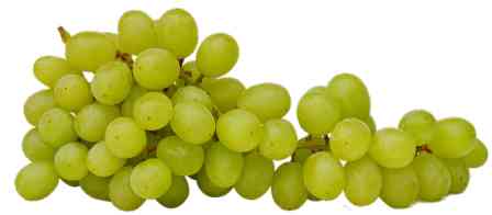 grapes