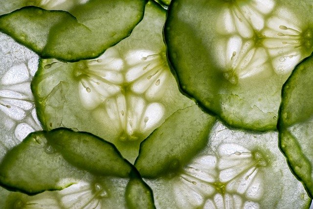 cucumber