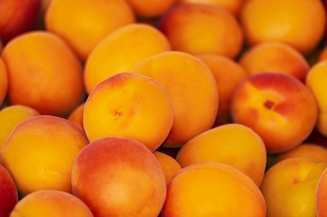 apricots