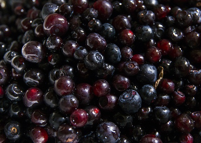 huckleberries