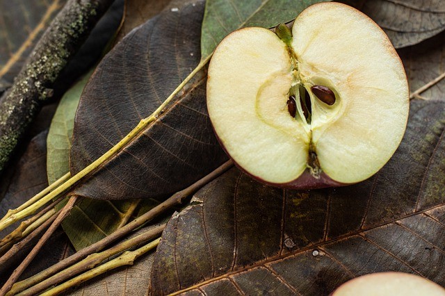 apple seeds